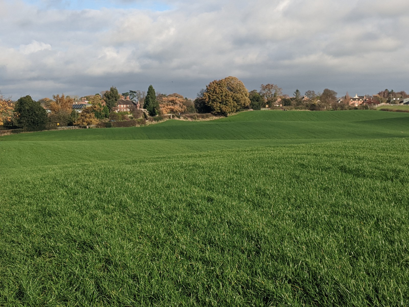 View from the Parkes, November 10th